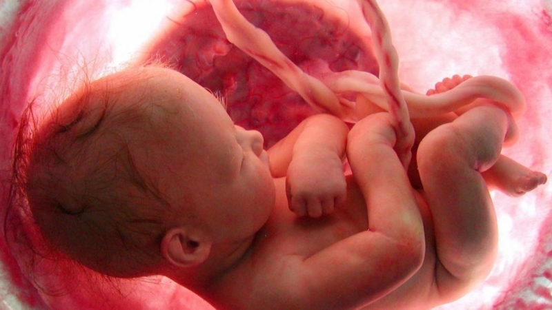 A KISBABÁD IS ÉRZÉKEL ODABENT